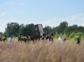 2p20140716-var_3892-1200