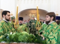 image_12