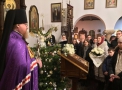 whatsapp-image-2018-01-07-at-22-13-18