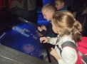 dscf8876